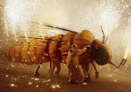 葡萄酒節(jié)日